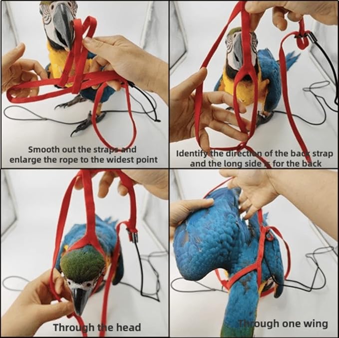 Adjustable Bird Harness with 78.7 Inch Leash, Outdoor Flying Training Rope Kit for Bird Parrots, Parrot Flying Rope Straps Outdoor Training Traction Rope for Small Medium Large Size Birds (S)