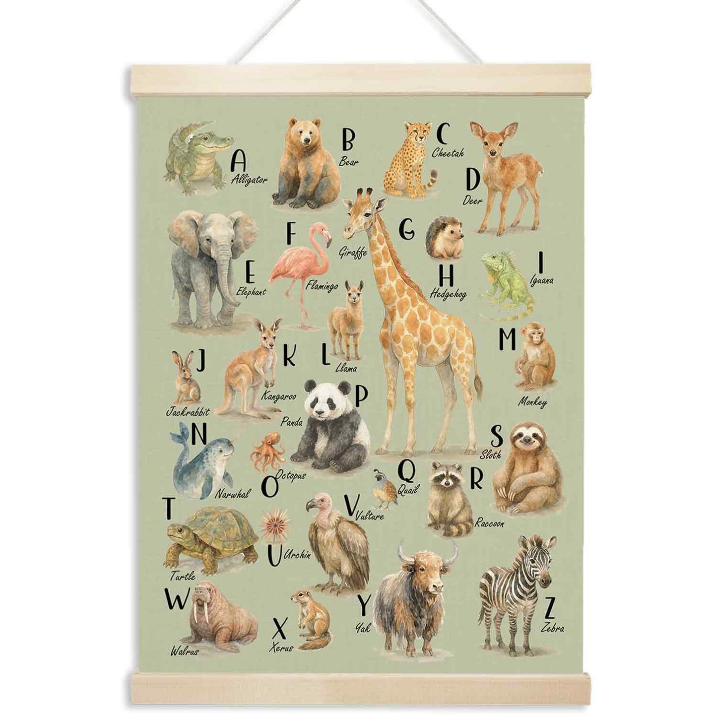 Xmsaitar Classroom Animals Zoo Alphabet Poster Hanger Frame Wall Decor, Green ABC Prints for Wall Hanging Decor Art, Nursery Educational Banner for Kids Toddler Room Dorm Playroom Preschool 12x16in