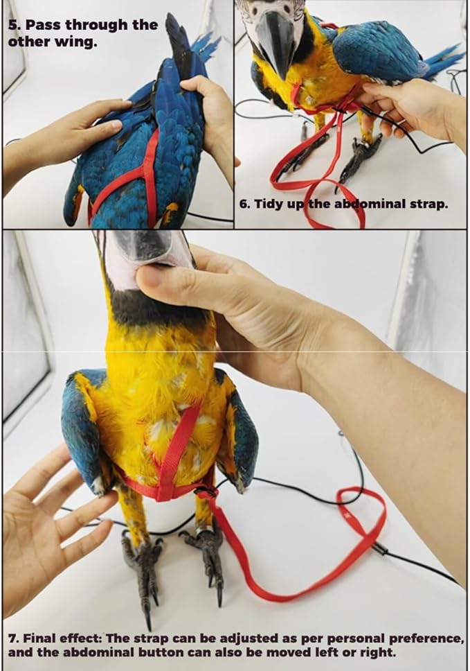 Adjustable Bird Harness and Leash for Parrots Outdoor Flight Training Anti-Bite Light Weight Easy-to-Wear Bird Vest with 59 Inch Elastic Leash for Quaker Conure African Grey Macaw Cockatoo (M)