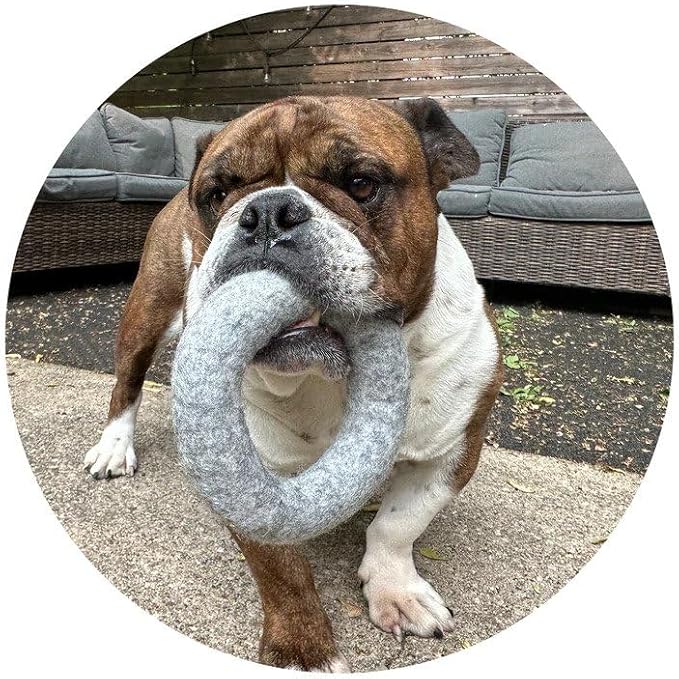 Large Wool Dog Ring Toy – Durable Organic Dog Ring for Medium & Large Dogs – Eco Friendly Natural Dog Toy – Creature ECO - 1 Pack