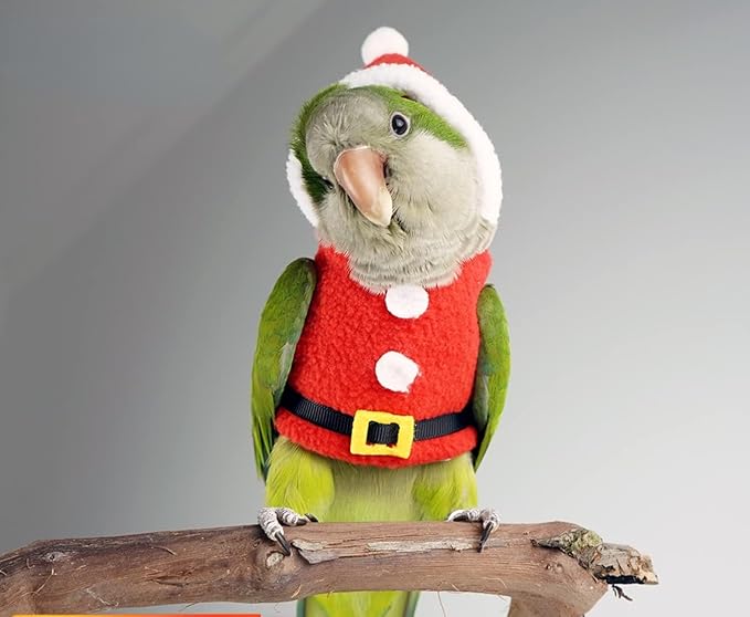 Bird Clothes Birds Flight Suit, Christmas Hoodie for Parrots Cockatiel Sun Conure Christmas Party Cosplay Photo Prop Bird Shirt Small Animals Apparel (with Diaper,Macaw)