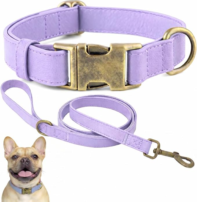 Silicone Dog Collar and Leash Set, Waterproof & Odor-Proof Puppy Collar for Small Dogs, Soft Flexible Leather-Look Dog Collars, Durable Thick Adjustable Pet Collar (Purple, Medium (12.5-20" Neck))