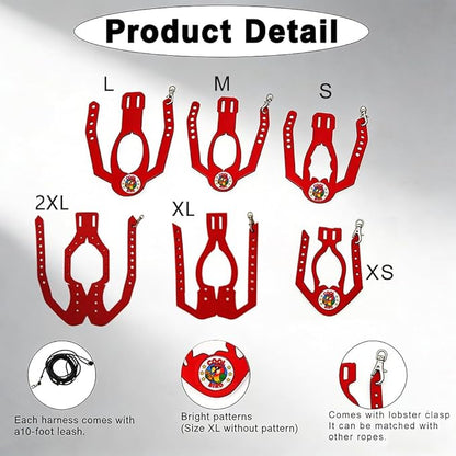Adjustable Bird Harness & Leash Set for Small Birds,FitsBudgie,Parakeets, Conures, Cockatiels,Green Cheek,Quaker Parrots(Red, XL) Z6350-11