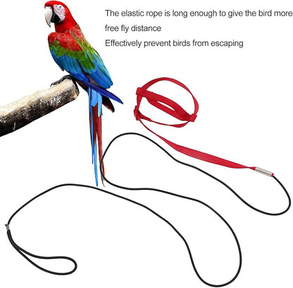 Elastic Parrot Harness Leash Bird Leash Bite Proof Harness Adjustable Parrot Flying Training Rope with Metal Hook Nylon Webbing for Cockatiels Walking (XL)