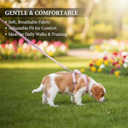 2 Pack Adjustable Rabbit Harness Set,Escape Proof Harness for Small Pets,Rabbits,Guinea Pigs,Ferrets – Comfortable,Durable Bunny Accessories for Walking&Running,All Season for Small Animals（Pink,Blue）