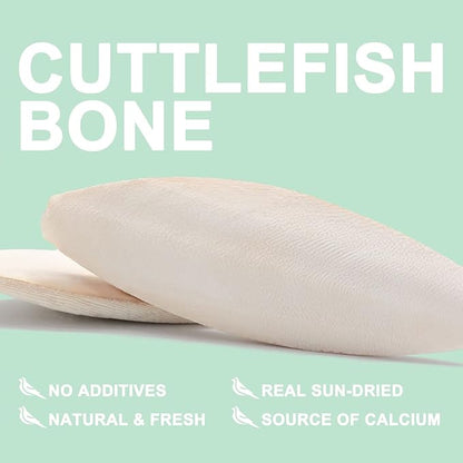 Natural Cuttlebone for Birds Parakeets Canaries Cockatiels Small Conures Mynahs Toucans African Greys All Parrots Snails Totoise, with Holder for Bird Cage (6-6.5 inch,2PCS)