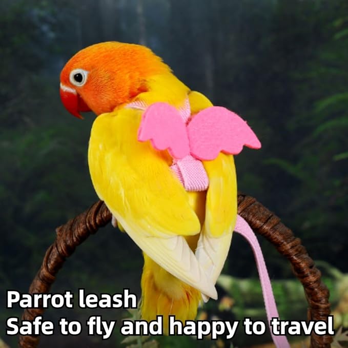 Pet Parrot Bird Harness and Leash, Adjustable Training Design Anti-Bite, Bird Nylon Rope with Cute Wing and Colorful Leash for Parrots Lovebird Cockatiel Conure Budgie (Purple with 393.7inch Leash,S)