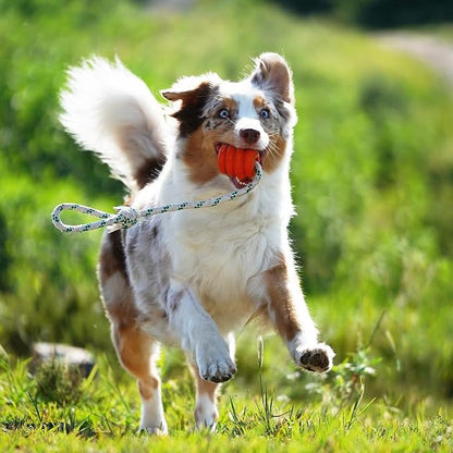 Green Sheep Tug & Enrichment Dog Toy, Interactive Rope Ball Toy with Removable Cotton Rope, Treat Dispensing Natural Rubber Dental Chew Toy for Medium and Large Dogs，Orange
