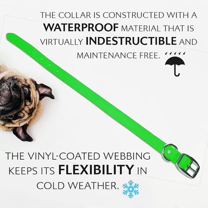 Regal Dog Products Medium Light Green Waterproof Dog Collar and Leash Set | Heavy Duty Double Buckle & D Ring - 5'ft Leash | Adjustable Biothane Dog Collar | Chew Resistant Waterproof Collar for Dogs