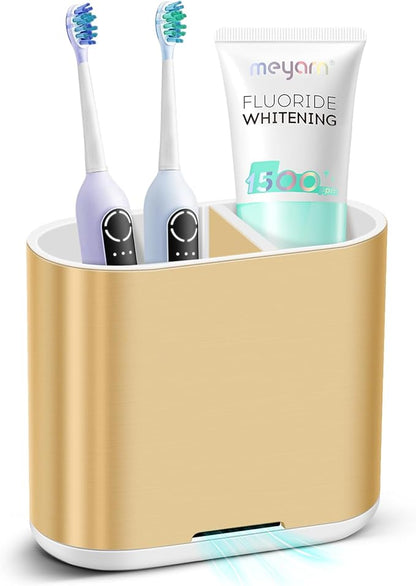 Chintu Toothbrush and Toothpaste Holder