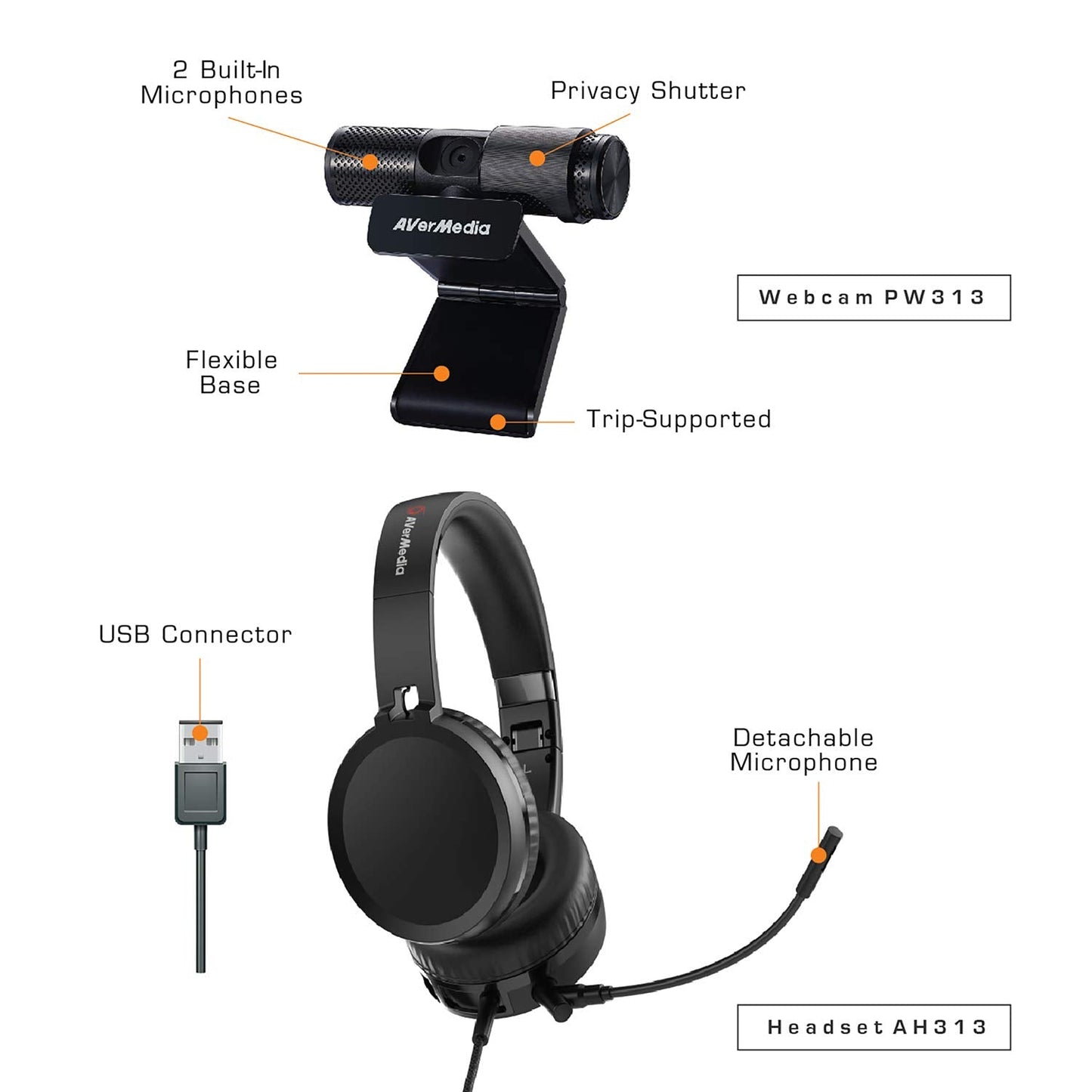 AVerMedia Video Conference Kit 317
