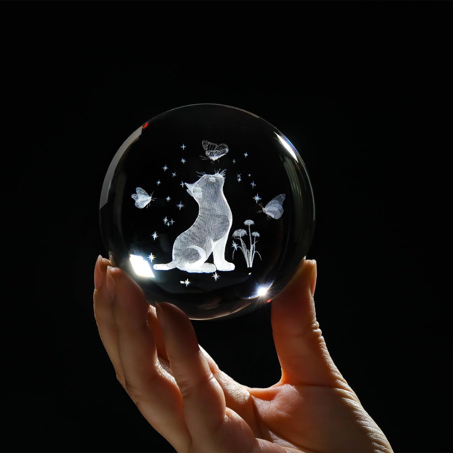 Arikyrist 3D Crystal Cat Figurines with Wooden Light Base, 80mm Crystal Ball Decor, Laser Engraved Glass Sphere Cat Gifts
