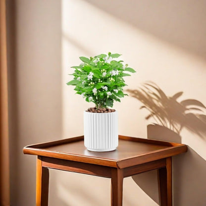 Flowers and Succulent Plant Pots, Ceramic flower Pots and Drainage Hole, Bonsai Planter Large Flower Pots for Indoor Outdoor Use for Home Office Garden Decoration,Plants not included (White)
