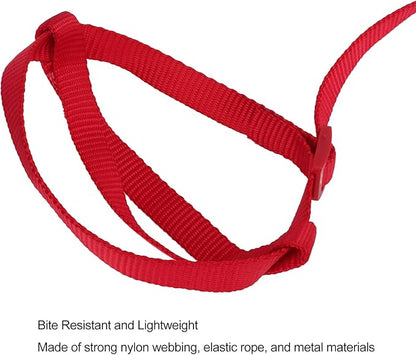 Elastic Parrot Harness Leash Bird Leash Bite Proof Harness Adjustable Parrot Flying Training Rope with Metal Hook Nylon Webbing for Cockatiels Walking (S)