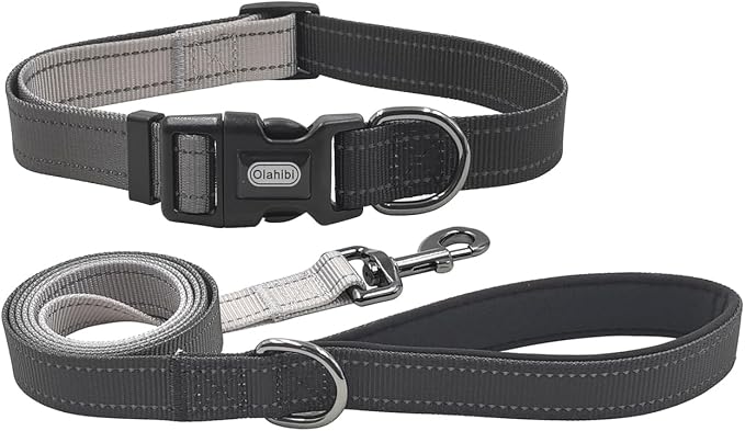 Dog Collar Leash Set, Gradient Color, with Safety Reflective Strips, 5 ft Matching Leash, Neoprene Padded Handle, Adjustable 4 Sizes for Small Medium Large Dogs.(XS, Black Grey)