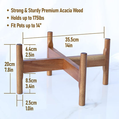 Macaw on Kapok Wood Plant Stand - Fits 8 10 12 to 14 inch Plant Pot - Acacia Solid Wood - Planter Stands for Indoor Plants - Outdoor Planter Large - Modern Plant Holder - Mid Century Plant Stand - Flower Pot Stand