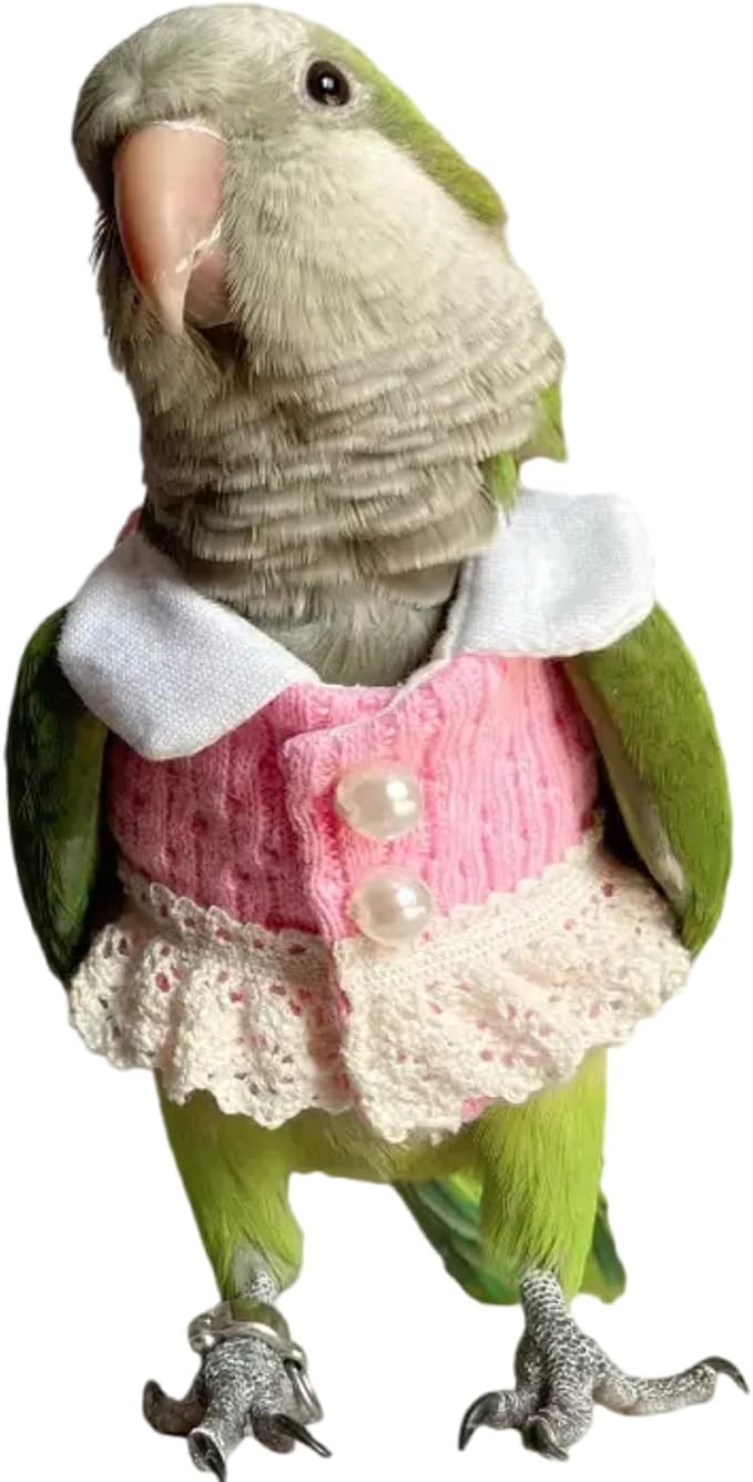 Bird Diaper Flight Suit - Pink Top Bird Clothes Cosplay Photo Prop for Parrots, Lovebirds, Parakeets, Cockatiels & Small Animals (Green Quaker)
