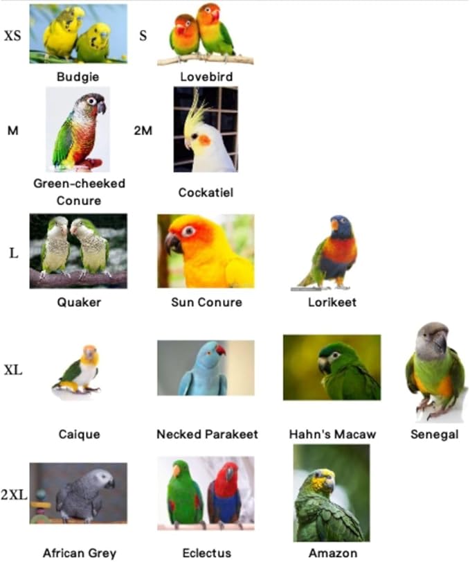 Bird Flight Suits Diapers, Parrot Flight Suits Diapers for Quaker Parakeets Cockatiels Conures Macaw African Grey, Bird Diaper, Parrot Clothes (Red A,2XL)