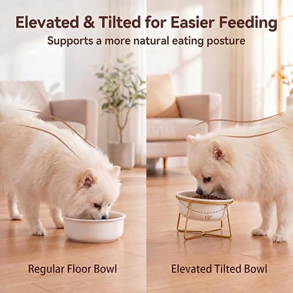 White Small Ceramic Tilted Elevated Cat Dog Bowl Raised Cat Food Water Bowl Dish Pet Comfort Feeding Bowls with Gold Iron Stand