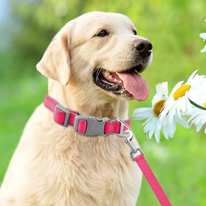 Dog Collar for Medium Small Large Dogs Reflective with Leash,Collar and Leash for Dogs,Soft Neoprene Padded 2 Pack(Pink,L)