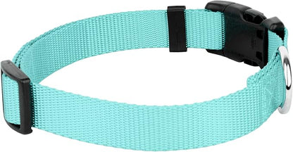 Country Brook Petz - Everyday Nylon Dog Collar and Leash - 10+ Cool Colors (3/4 Inch, Medium, Light Cyan)
