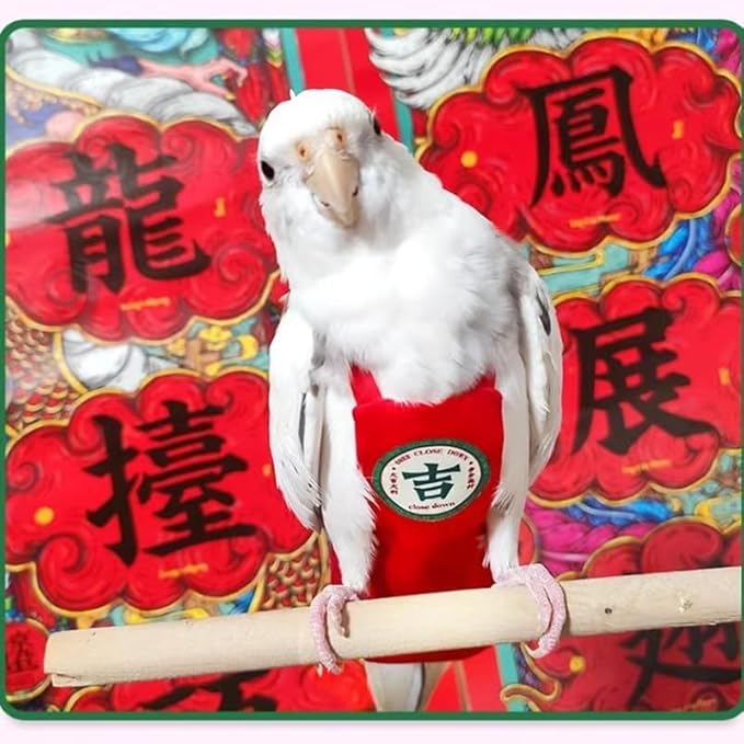 MANON ROSA Bird Diapers Leash Set Washable Reusable Handmade Flight Suit Waterproof Inner Layer - Protective Parrot Nappy Clothes Parakeets Macaws Budgies Canaries (Red7,Quaker Parakeet)