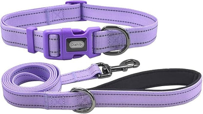 Dog Collar Leash Set, with Relfective Strips, Lilac Purple, Large. | Adjustable Collar,5 ft Matching Leash,Neoprene Padded Handle.