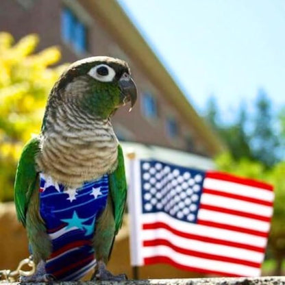 Avian Fashions FeatherWear FlightSuit Medium(5) Bird Diaper in Fireworks