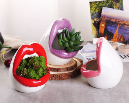 WHJY Sexy Lips Planter Pot, Ceramic Succulent Planter - Red