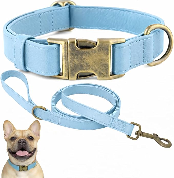 Silicone Dog Collar and Leash Set, Waterproof & Odor-Proof Puppy Collar for Small Dogs, Soft Flexible Leather-Look Dog Collars, Durable Thick Adjustable Pet Collar (Blue, Small (11-15.5" Neck))