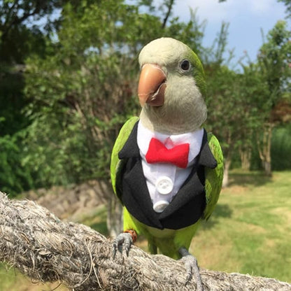Bird Clothes Birds Flight Suit,Tuxedo Business Suit for Parrots African Greys Parakeet Cockatiel Sun Conure Christmas Party Birthday Cosplay Photo Prop Small Animals Apparel (3XL,Black Suit)