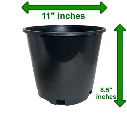 3 Gallon Nursery Pots - Professional Heavy Duty Injection Molded Plastic Plant Pots with Drainage Holes – 11 Inch Round Flower Pots for Shrubs, Perennials & Tropicals – Stackable (5)