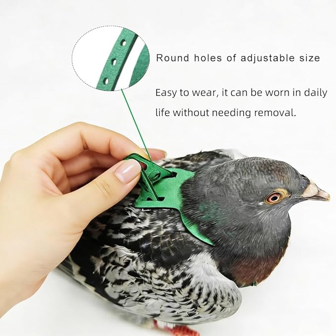 Adjustable Bird Harness & Leash Set for Small Birds,FitsBudgie,Parakeets, Conures, Cockatiels,Green Cheek,Quaker Parrots(Green, XL) Z6350-13