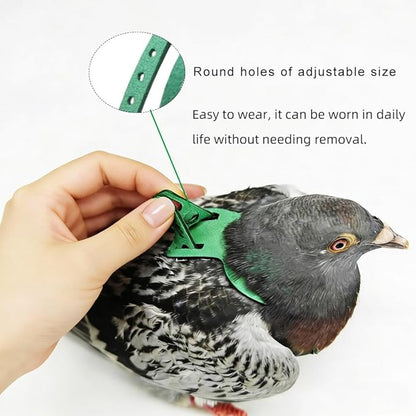 Adjustable Bird Harness & Leash Set for Small Birds,FitsBudgie,Parakeets, Conures, Cockatiels,Green Cheek,Quaker Parrots(Green, XL) Z6350-13