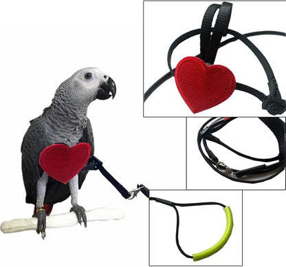 Adjustable Birds Harness and Leash Parrot Harness Leash Training Supplies Pet Anti-bite Outdoor Flying Rope for Conures Budgerigar Lovebird Cockatiel Mynah (M)
