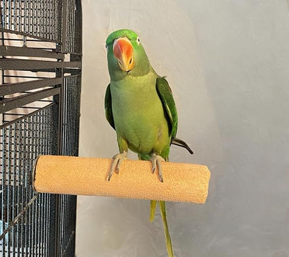 Polly's Pastels Nail Trimming & Beak Conditioning Safety Perch for Cockatiels, Cockatoos, Macaws, Parakeets, Budgies, Parrots and All Other Birds (Coral, X-Large-2" Dia. x 9" Long)