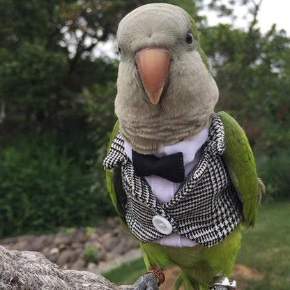 Bird Clothes Birds Flight Suit,Tuxedo Business Suit for Parrots African Greys Parakeet Cockatiel Sun Conure Christmas Party Birthday Cosplay Photo Prop Small Animals Apparel (2M,Grid Suit)