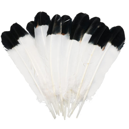 Handy Lidy 20pcs 10-12" Turkey Feather Round Wing Quill for DIY Art Accessories Halloween Party Decoration Wedding Costumes-White w/Black Tips