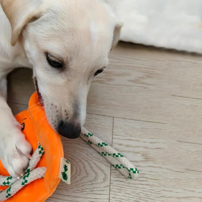 Green Sheep Interactive Plush Dog Toy, No Stuffing Squeaky Toy with Recycled Cotton Rope for Medium to Large Dogs, Pumpkin