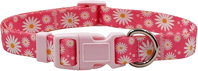 Dog Collar Leash Set, Floral Pattern, Polyester Material, Adjustable Collar and 5ft Matching Leash, for Small Dogs.(S, Daisy)