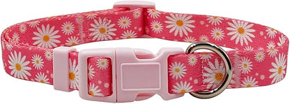 Dog Collar Leash Set, Floral Pattern, Polyester Material, Adjustable Collar and 5ft Matching Leash, for Small Dogs.(S, Daisy)