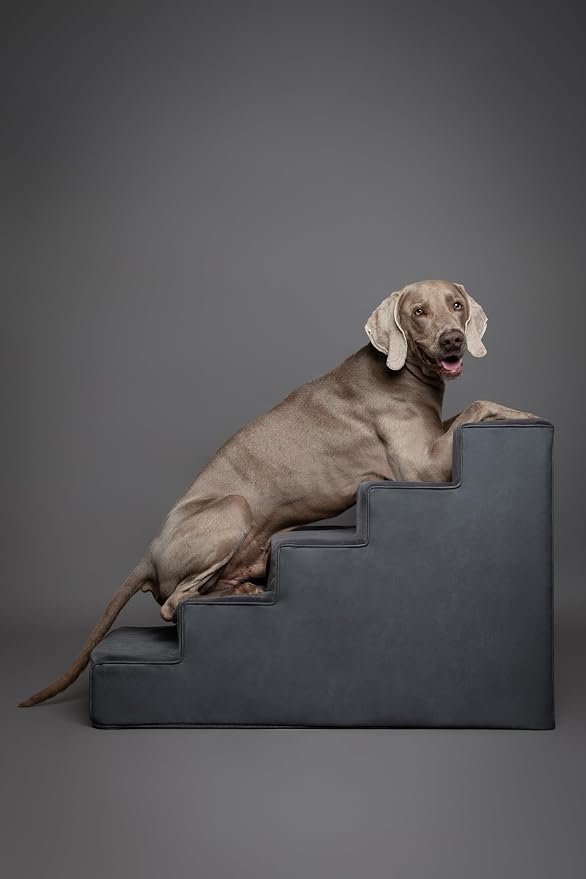 Noah & Paw Dog Stairs, Dog Ramp for Bed (20" Extra Wide) Pet Stairs for High Bed, Design to Fit Small and Large Breeds, Durable 5 Pet Steps for Couch (35 Foam Density) Leather Collection