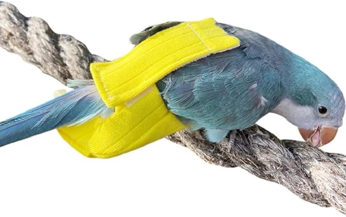 Parrot Bird Diapers, Birds Flight Suit, Parrot Clothes, Pet Animal Costumes, Bird Clothes, Cockatiel Bird Diaper, Pet Bird Diapers, Parrot Flight Suit, Bird Parrot Clothes (Yellow, 3XL)