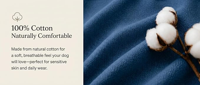 AetruffyPet 100% Cotton Dog Harness and Leash Set – Soft Breathable Vest for Small Dogs, Adjustable No-Choke Design, Lightweight Walking Set (XS/S/M) (Blue, XS)