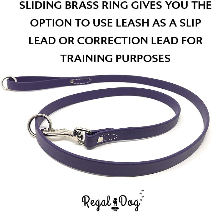 Regal Dog Products Large Purple Waterproof Dog Collar and Leash Set | Heavy Duty Double Buckle & D Ring - 5'ft Leash | Adjustable Biothane Dog Collar | Chew Resistant Waterproof Collar for Dogs