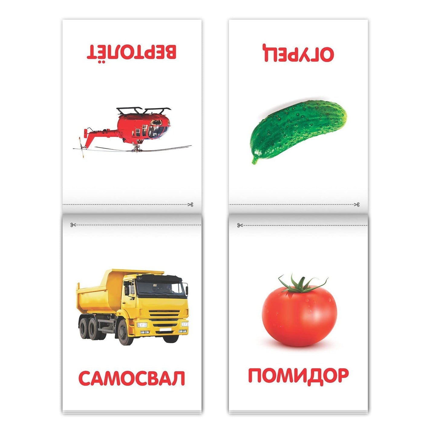 Doman Method Flashcard Russian Book Set for Learning Set - 8 Topics from Farm Animals to Alphabet - Карточки Домана - Книги на Русском Языке