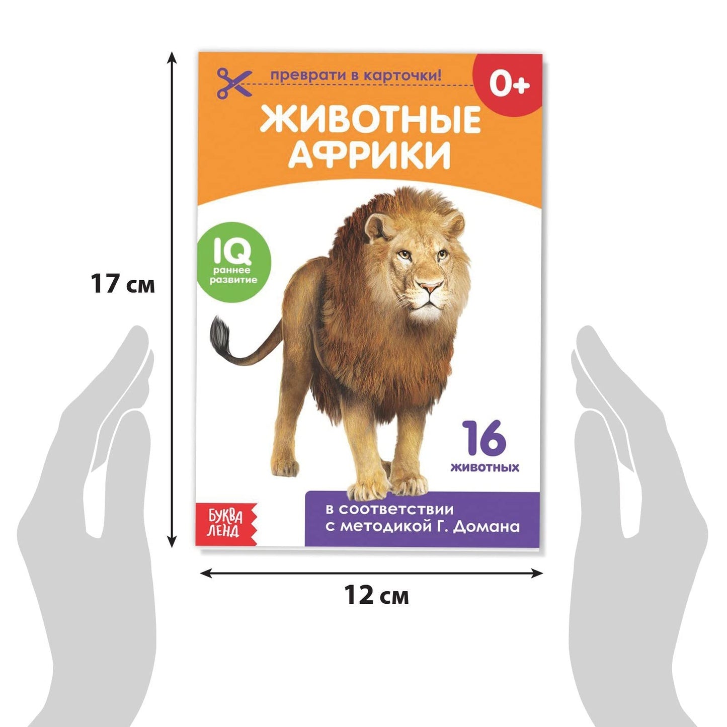 Doman Method Flashcard Russian Book Set for Learning Set - 8 Topics from Farm Animals to Alphabet - Карточки Домана - Книги на Русском Языке