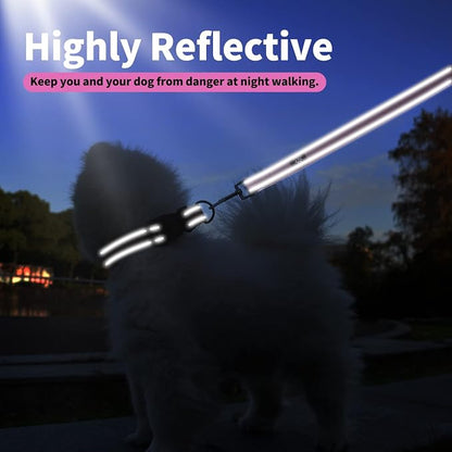 IVY&LANE Reflective Dog Collar and Leash Set,Adjustable Neoprene Padded Dog Collars, Breathable Nylon Pet Collar for Small Medium Large Dogs(Small,Fuchsia Pink)