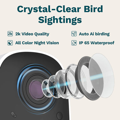 Birdster Smart Bird Feeder with Camera Solar Powered AI Identification 10,000+ Bird 2K UHD Video Live Instant Arrival Alerts and Real-Time Motion Detection Weatherproof Bamboo for Outdoor Birds Lovers