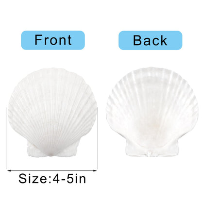 10PCS Large Natural Scallop Shells, 4''-5'' Large Shell for Crafts, DIY Painting, Baking and Beach Wedding Decorations - Large White Seashells Bulk for Ocean Themed Parties and Home Decor